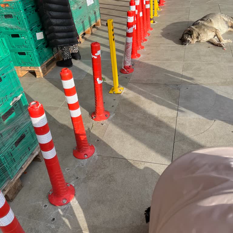 Büyükçekmece Mimaroba Migros Şubesinde Giriş Bariyerleri Bebek Arabası Ve Engellileri Engelliyor