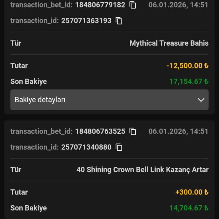 Hesabımdan 16.350 TL Çalınması Ve Güvenlik Açığı