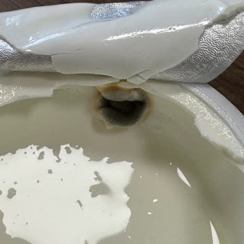 Tarihinden Önce Küflü Quark Ürünü