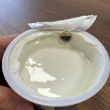 Tarihinden Önce Küflü Quark Ürünü