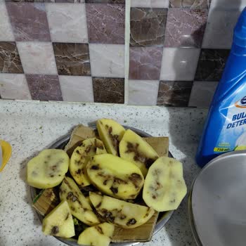 Şok Marketler İndirimli Patates Diye Bozuk Hiç Yenmeyecek Çöp Ürünler