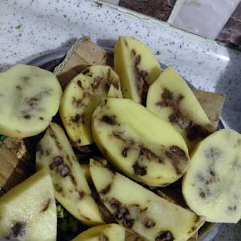 Şok Marketler İndirimli Patates Diye Bozuk Hiç Yenmeyecek Çöp Ürünler