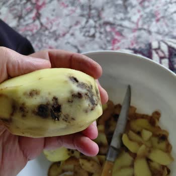 Şok Marketler İndirimli Patates Diye Bozuk Hiç Yenmeyecek Çöp Ürünler