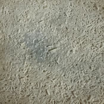 Asi Künefeleri Dondurulmuş Künefe Üzerinde Küf: Gıda Güvenliği Endişesi!