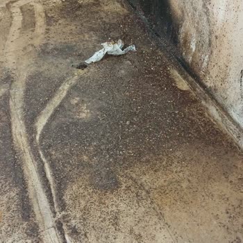 Yüksek Aidatlara Karşı Temizlik Ve Güvenlikte Ciddi Eksiklik