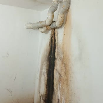 Yüksek Aidatlara Karşı Temizlik Ve Güvenlikte Ciddi Eksiklik