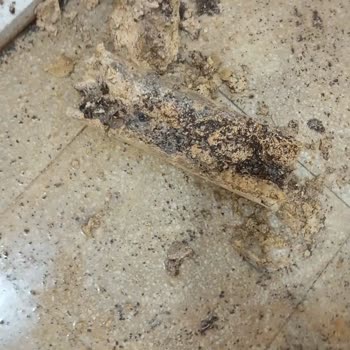 Yüksek Aidatlara Karşı Temizlik Ve Güvenlikte Ciddi Eksiklik