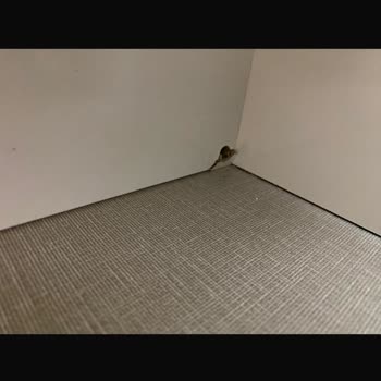 Ertuğrul By Söğütlü Mobilya Mağduriyetimin Giderilmesini İstiyorum