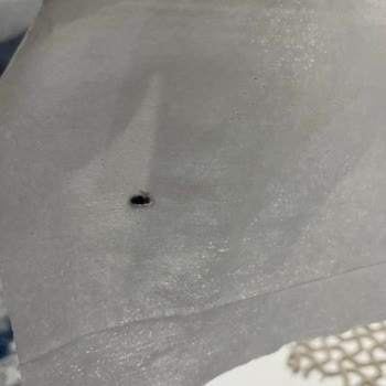 Yüncü Ali Mağazasından Islak Mendilde Böcek; Hijyen İhlali Ve Telafi Talebi