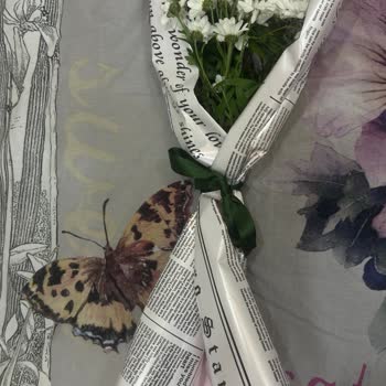 Çiçek Sepeti Siparişindeki Kalitesiz Çiçek Ve Düzensiz Paketleme İçin İade Talebi