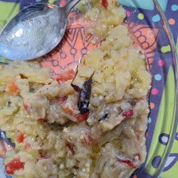 Şok Market Patlıcan Salatasında Hamam Böceği: Hijyen Skandalı Ve Ücret İadesi Talebi