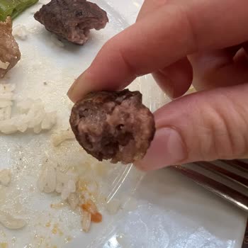 Bursa Kebap Evi Yalova Şubesinde Düşük Yemek Kalitesi Ve Özürsüz Servis