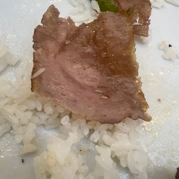 Bursa Kebap Evi Yalova Şubesinde Düşük Yemek Kalitesi Ve Özürsüz Servis