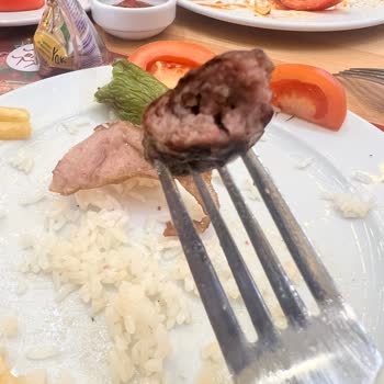 Bursa Kebap Evi Yalova Şubesinde Düşük Yemek Kalitesi Ve Özürsüz Servis