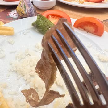 Bursa Kebap Evi Yalova Şubesinde Düşük Yemek Kalitesi Ve Özürsüz Servis