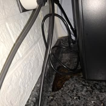 Philips Ev Aletleri Lattego Kahve Makinesinde Tekrarlayan Su Sızıntısı Ve Hijyen Sorunu