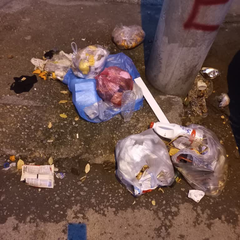 Buca Mahallesinde Çöp Toplanmaması Ve Sağlık Riski