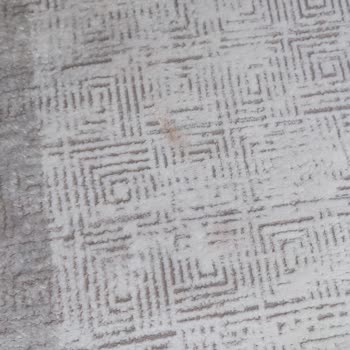 Yıldızlar Halı Ve Koltuk Yıkama | Pendik Tarafından Verilen Hizmetten Memnun Kalmadım