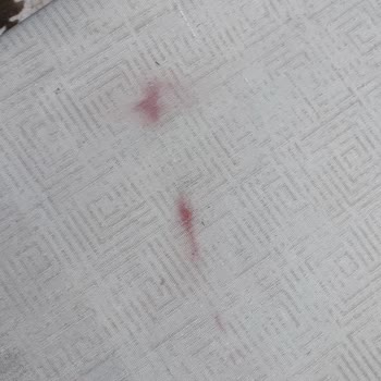 Yıldızlar Halı Ve Koltuk Yıkama | Pendik Tarafından Verilen Hizmetten Memnun Kalmadım