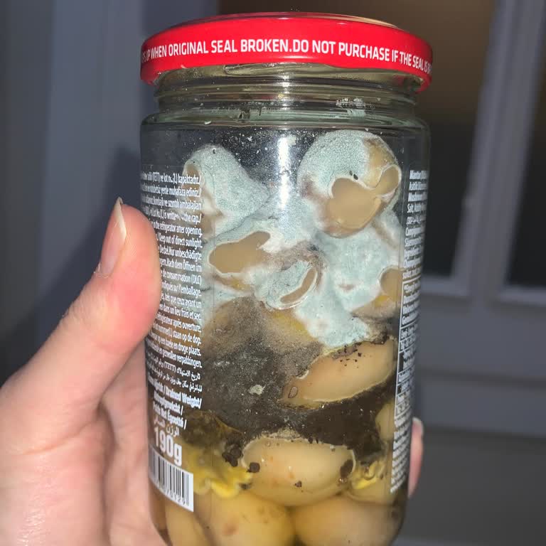 Mantar Konservesinde Görünür Küf: Sağlık Ve Hijyen Endişesi