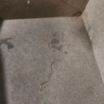 Köfteci Yusuf Şubesinde Çift Burgerde Tel Parçası Bulunması