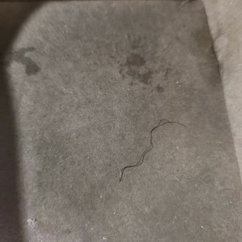 Köfteci Yusuf Şubesinde Çift Burgerde Tel Parçası Bulunması