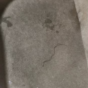 Köfteci Yusuf Şubesinde Çift Burgerde Tel Parçası Bulunması