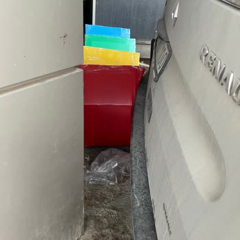 Sokak Hayvanı Barınağına Şiddet, Tehdit Ve Zorla Kaldırma