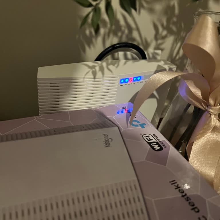 Vaat Edilen Hız Sağlanmıyor, Sürekli Kesintiler Ve Müşteri Desteğine Ulaşılamıyor