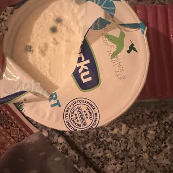 Küflü Yoğurt Şoku Torku’dan Gıda Güvenliği Endişesi