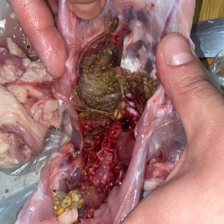 Lezita Markalı Tavukta Yabancı Madde Ve Gıda Güvenliği İhlali