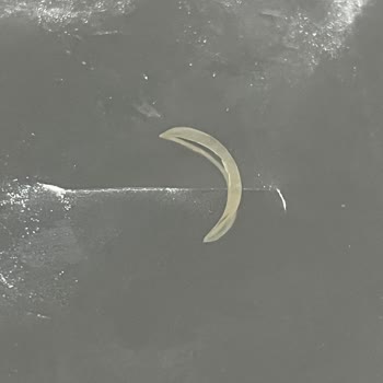 Çerezza Patlamış Mısır Paketi İçinde Kesilmiş Tırnak