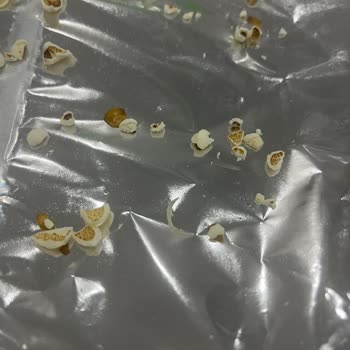 Çerezza Patlamış Mısır Paketi İçinde Kesilmiş Tırnak