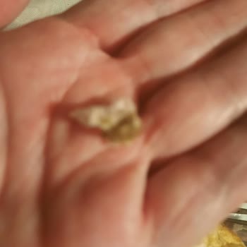 Show Market'ten Gelen Papatya Ekmeğinde Çamur Benzeri Yabancı Madde Ve Sağlık Riski