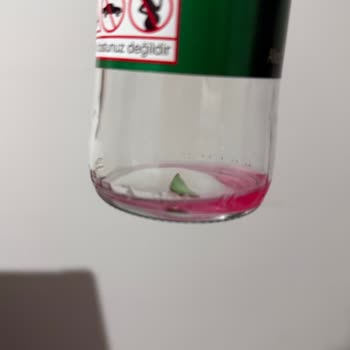 İçecek İçinde Bulunan Yabancı Cisim Dudak Kesilmesine Neden Oldu