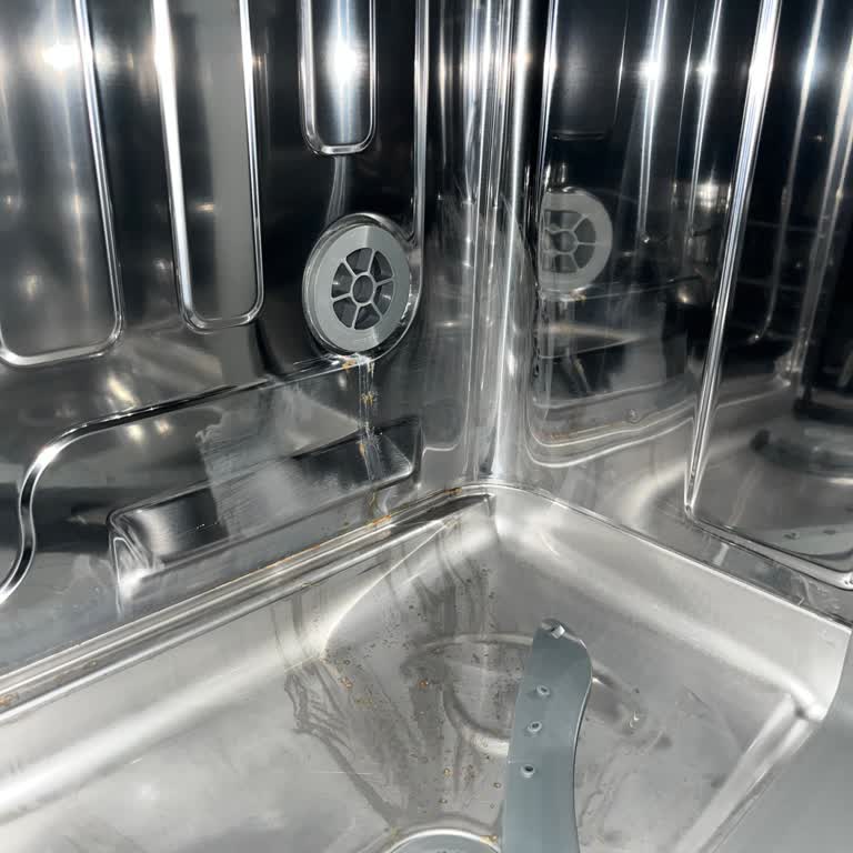 Samsung Bulaşık Makinesinde Tekrar Paslanma Ve Sağlık Riski