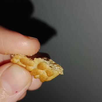 Bisküvi İçinde Kıl Ve Hijyen Sorunu: Eti'den Açıklama Talebi