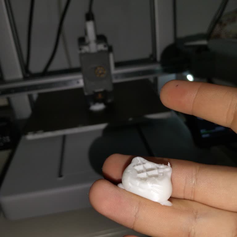 Creality Ender PLA Filamentinde Baskı Yapışmama Sorunu Ve Ücret İadesi Talebi