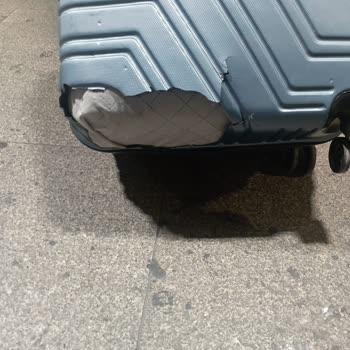 Pegasus Uçuşunda Bagajım Parçalandı Ve Yardımcı Olunmadı