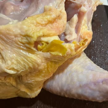 Erpiliç Tavukta Hijyen Sorunu Ve Sert Parçalar