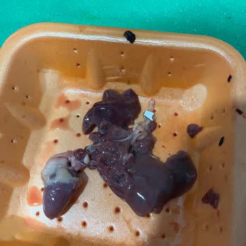 Migros Jet Paketli Piliç Ciğerinde Yabancı Parça Ve Gıda Güvenliği Endişesi