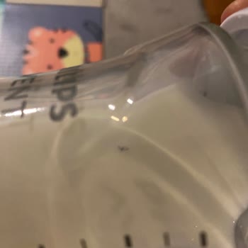 Bebek Maması İçinde Siyah Sinek Görülmesi Güven Kırıcı Olay