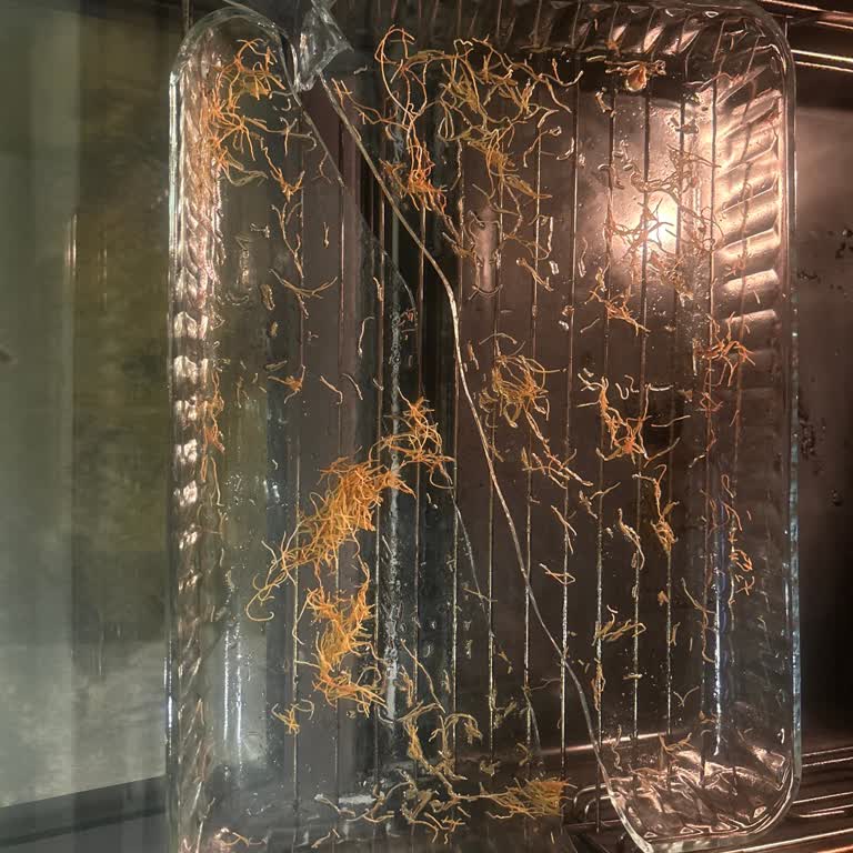 Normal Kullanımda Borcam Tepsinin Çatlaması Ve Değişim Talebi