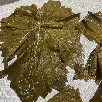 Instagram Satıcısı Kalitesiz Yaprak Gönderdi, Şikayet Engellendi