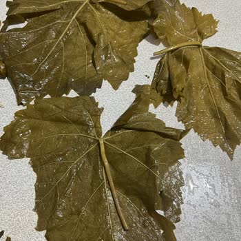 Instagram Satıcısı Kalitesiz Yaprak Gönderdi, Şikayet Engellendi