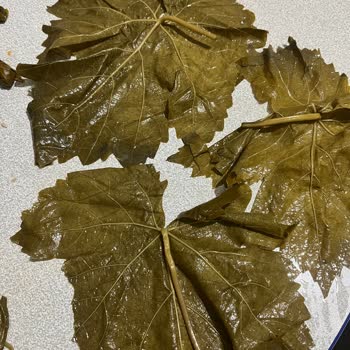 Instagram Satıcısı Kalitesiz Yaprak Gönderdi, Şikayet Engellendi