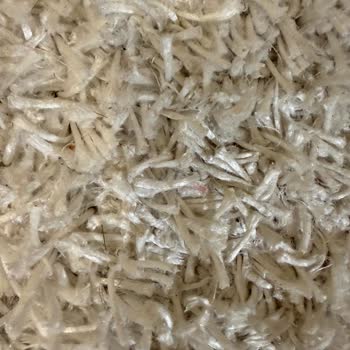 Garanti Halı Yıkama Konya'dan Şeffaf Olmayan Ücret Talebi ve Lekeli Halı Teslimatı