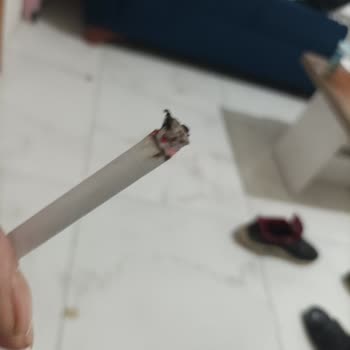 Parliament Sigara İçinde Odun Parçası Çıkması Ve Kalite Sorunu