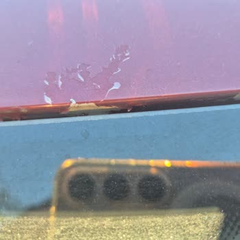 Volkswagen Tiguan Ön Cam Tavan Bölgesindeki Boya Sorunu İçin Çözüm Talebi