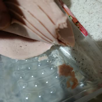 Lezita Piliç Salamında Beklenmedik Yabancı Madde